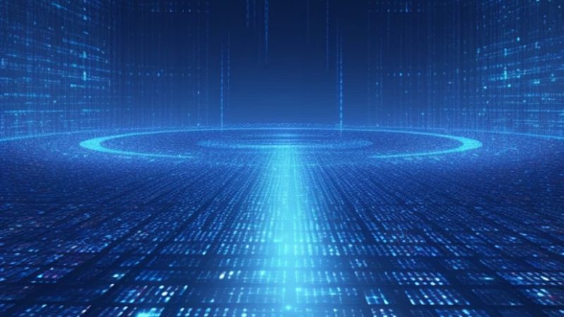 审计报告机构的服务质量直接关系到审计报告的质量。可以从以下方面了解其服务质量：
